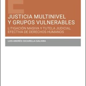 JUSTICIA MULTINIVEL Y GRUPOS VULNERABLES. Litigación masiva y tutela judicial efectiva de derechos humanos.