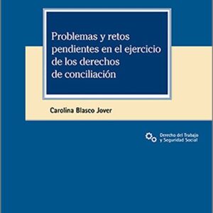 PROBLEMAS Y RETOS PENDIENTES EN EL EJERCICIO DE LOS DERECHOS DE CONCILIACIÓN.