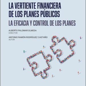 VERTIENTE FINANCIERA DE LOS PLANES PÚBLICOS. La eficacia y control de los planes.