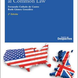 INTRODUCCIÓN AL COMMON LAW