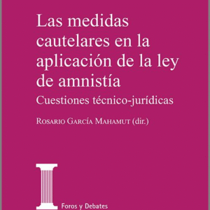 MEDIDAS CAUTELARES EN LA APLICACIÓN DE LA LEY DE AMNISTÍA, LAS.