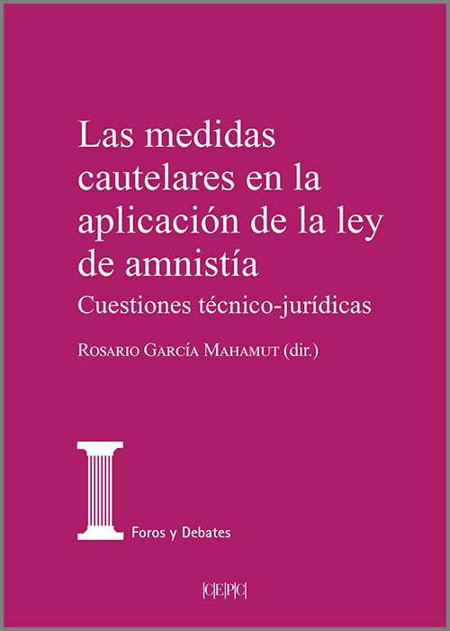 MEDIDAS CAUTELARES EN LA APLICACIÓN DE LA LEY DE AMNISTÍA, LAS.
