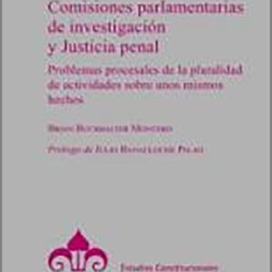 COMISIONES PARLAMENTARIAS DE INVESTIGACIÓN Y JUSTICIA PENAL.