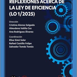 REFLEXIONES ACERCA DE LA LEY DE EFICIENCIA (LO 1/2025). (IBD)