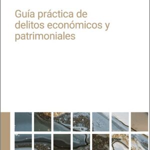 GUÍA PRÁCTICA DE DELITOS ECONÓMICOS Y PATRIMONIALES.