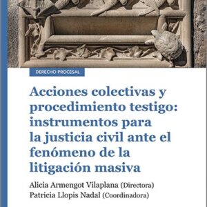 ACCIONES COLECTIVAS Y PROCEDIMIENTO TESTIGO: INSTRUMENTOS PARA LA JUSTICIA CIVIL ANTE EL FENÓMENO DE LA LITIGACIÓN MASIVA.